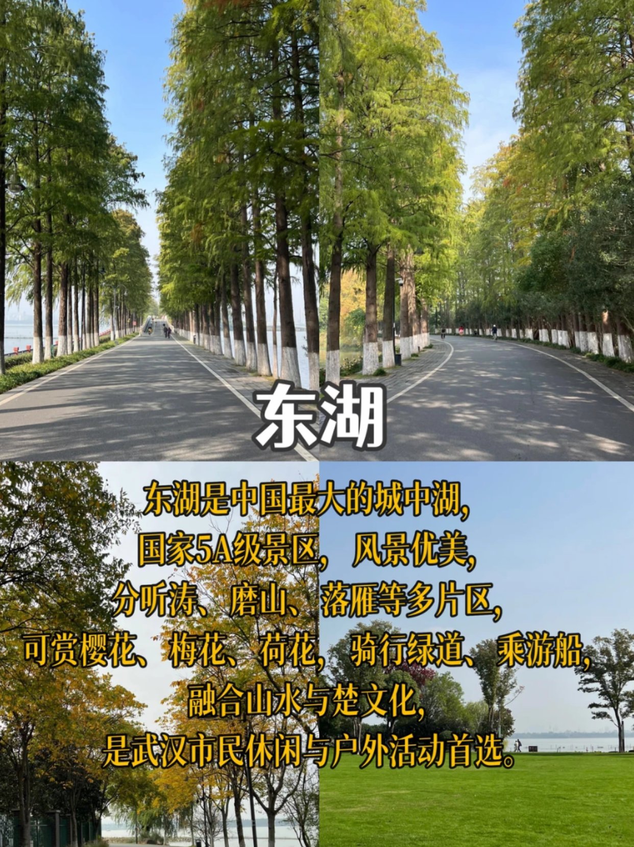 武汉东湖｜不花冤枉钱，用一天时间爱上这片