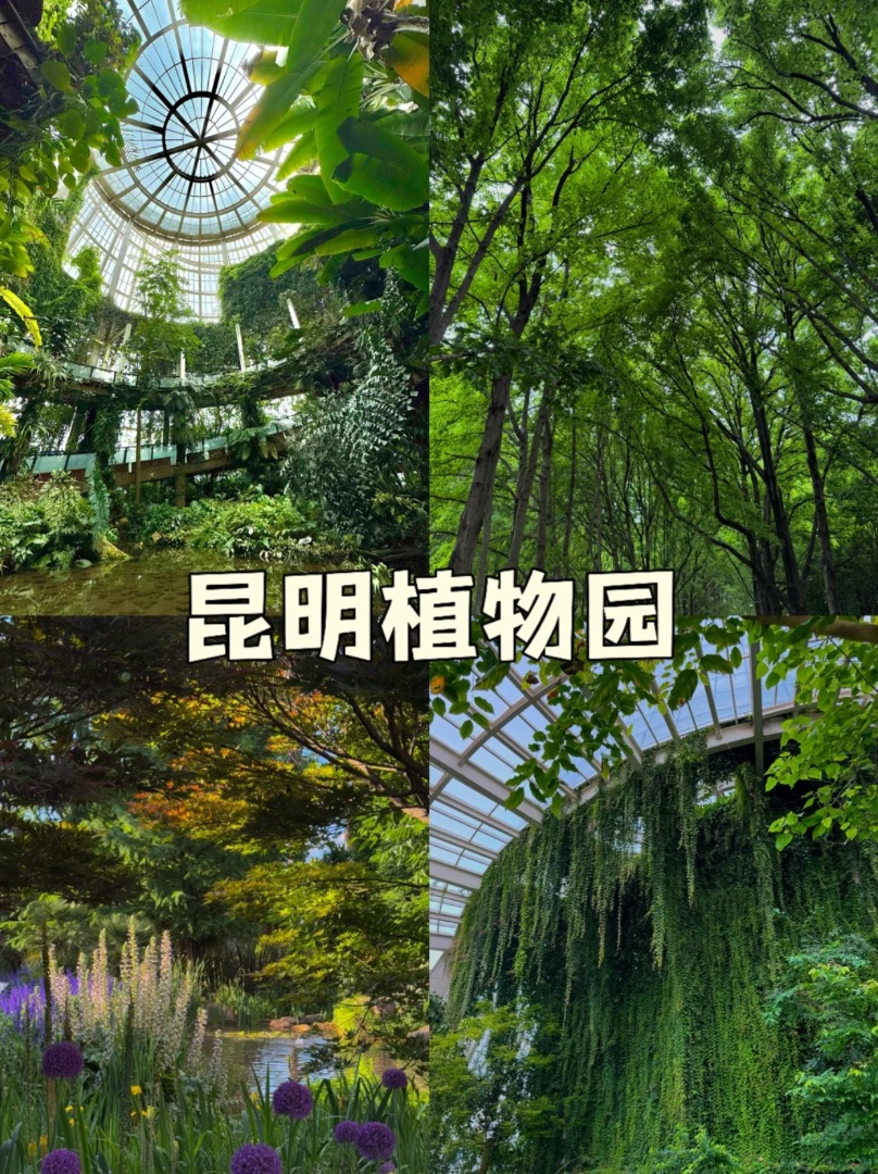 逛植物园才是正经事