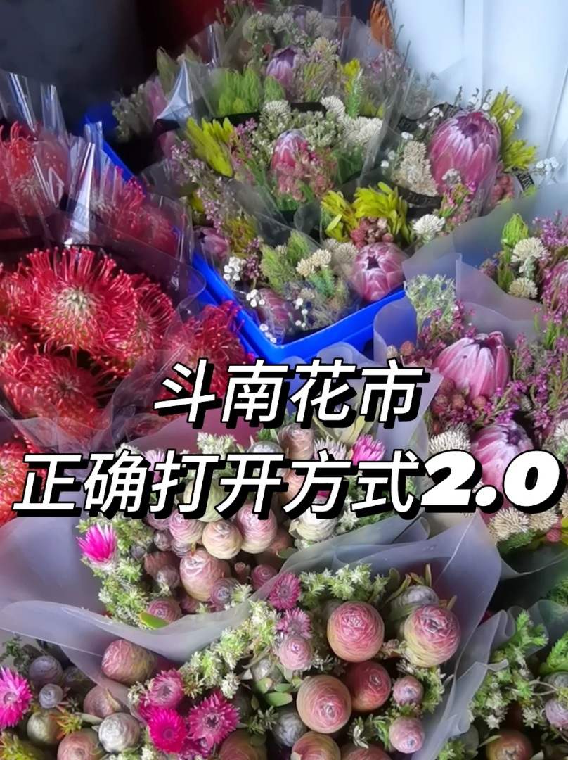 斗南花市正确打开方式2.0💐本地人攻略