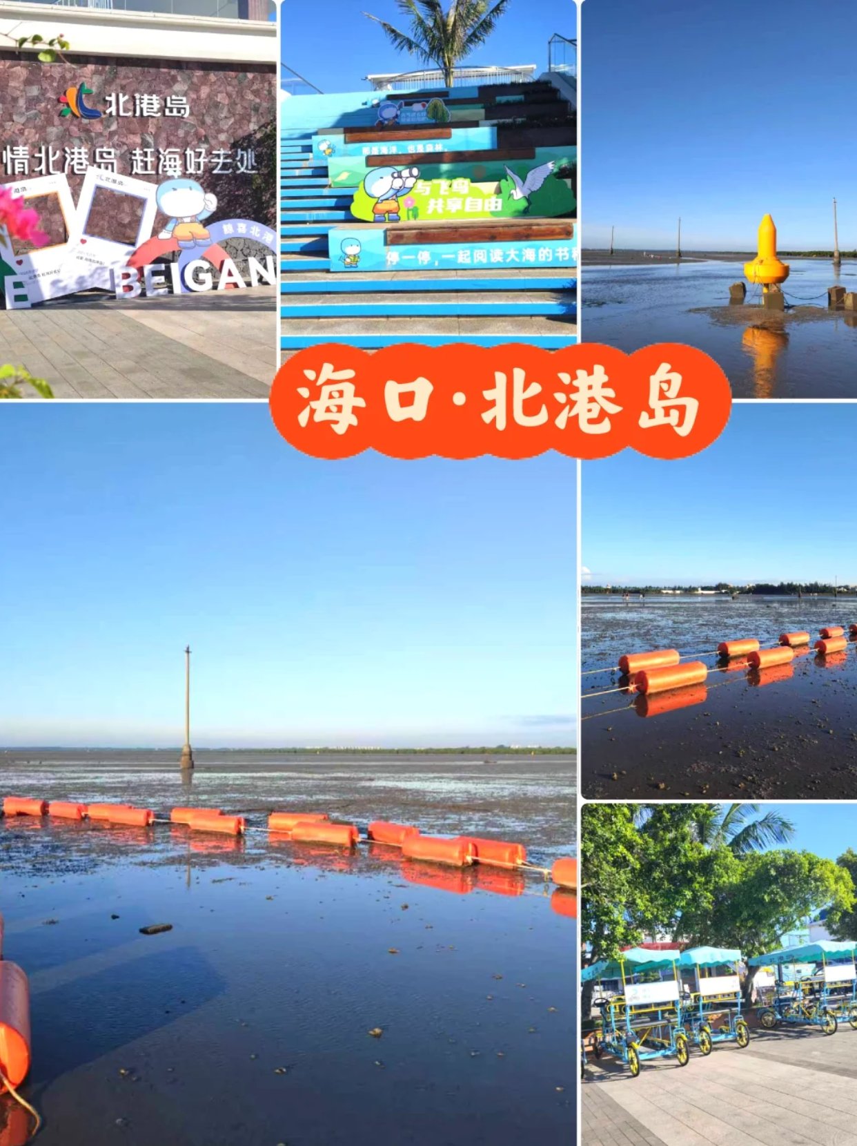 🌊 北港岛｜赶海观鸟海口隐藏玩法！