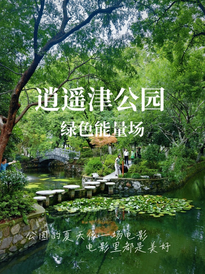 夏天的逍遥津公园，就像是一个巨大的能量场