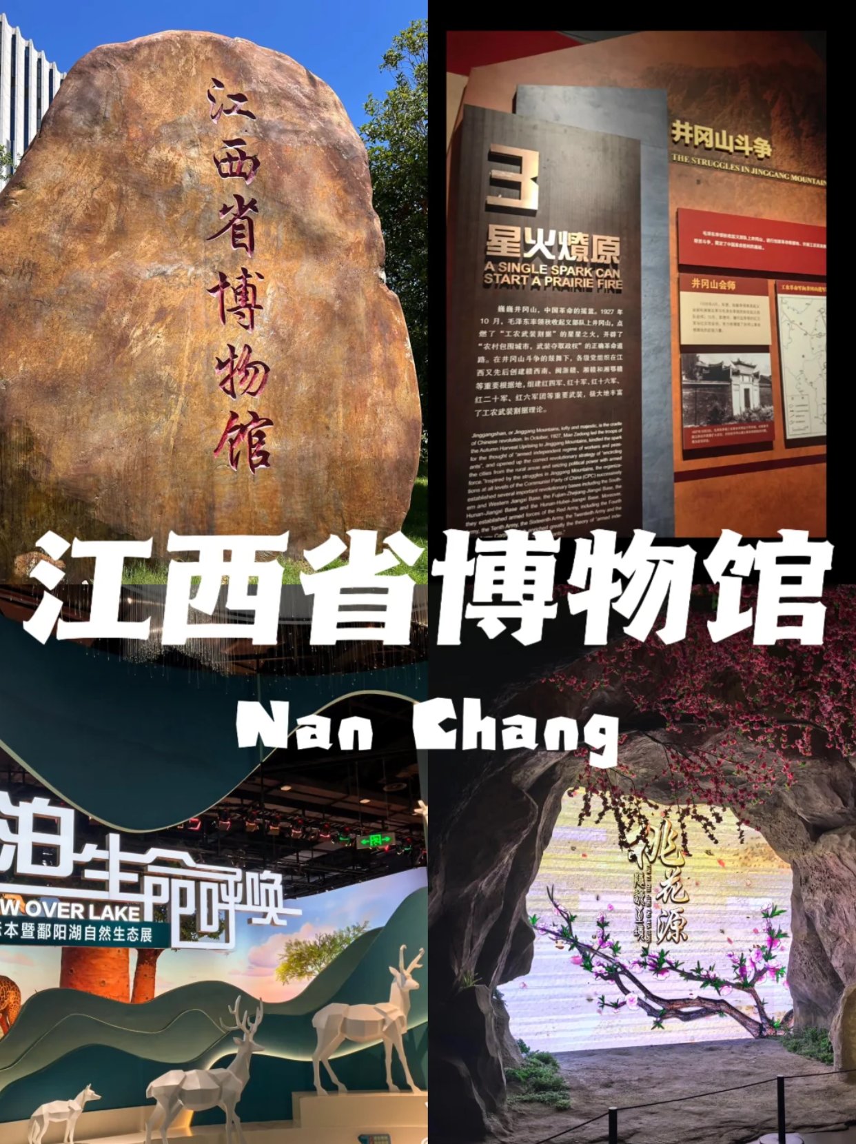 人气文物在哪里❓国庆逛展指南来了🌟🎊