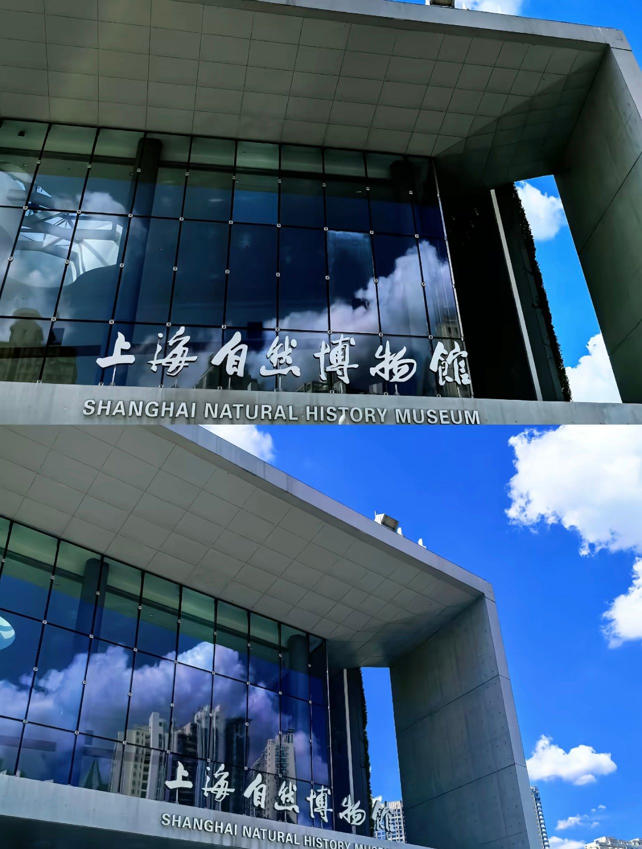恐龙化石、非洲动物标本，带孩子来的首选地