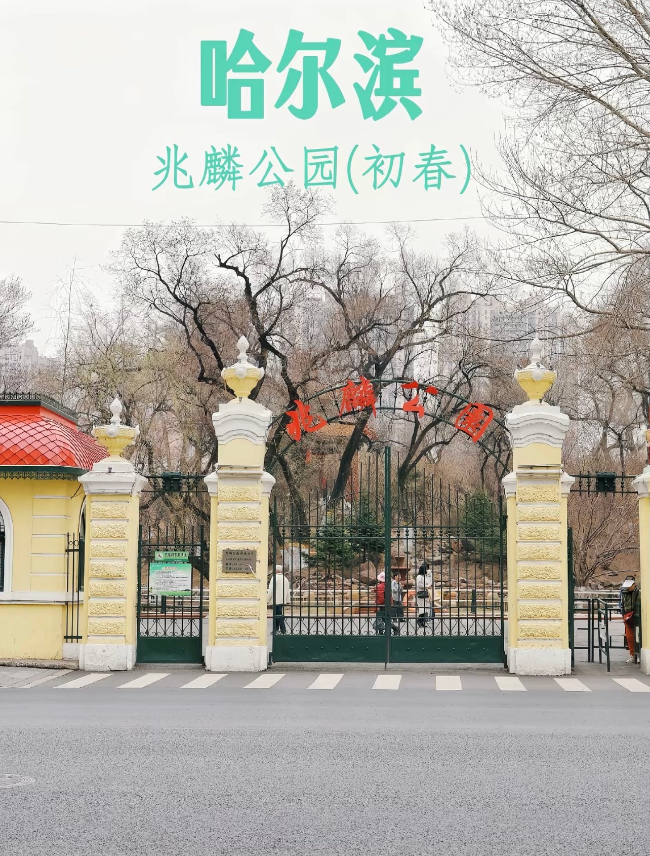 别只去冰雪大世界了！哈尔滨这个公园的冰灯才是灵魂