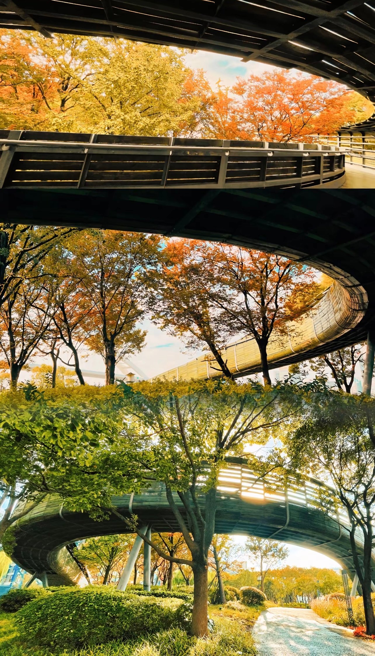 新手友好｜上海骑行地图·滨江+梧桐区怎么骑