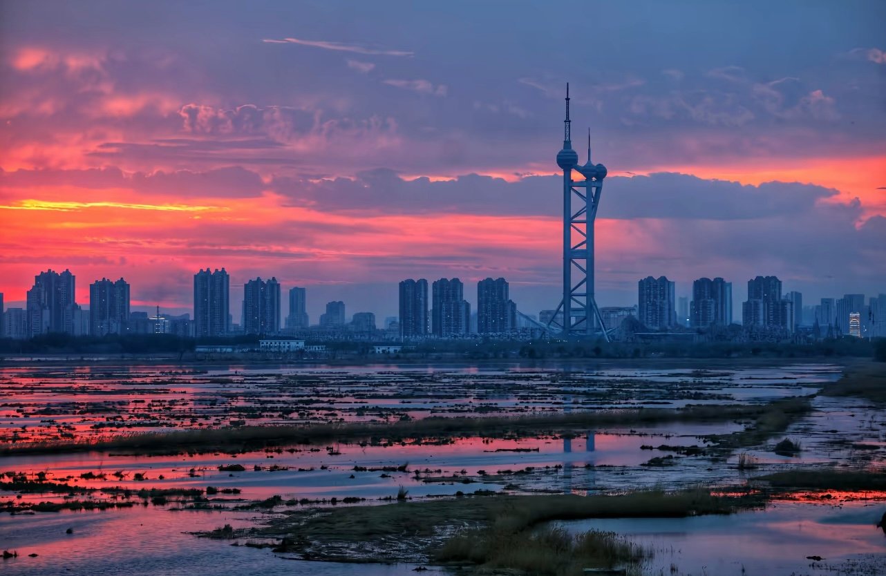 谁能想到，大庆市中心藏着这么大一片湿地