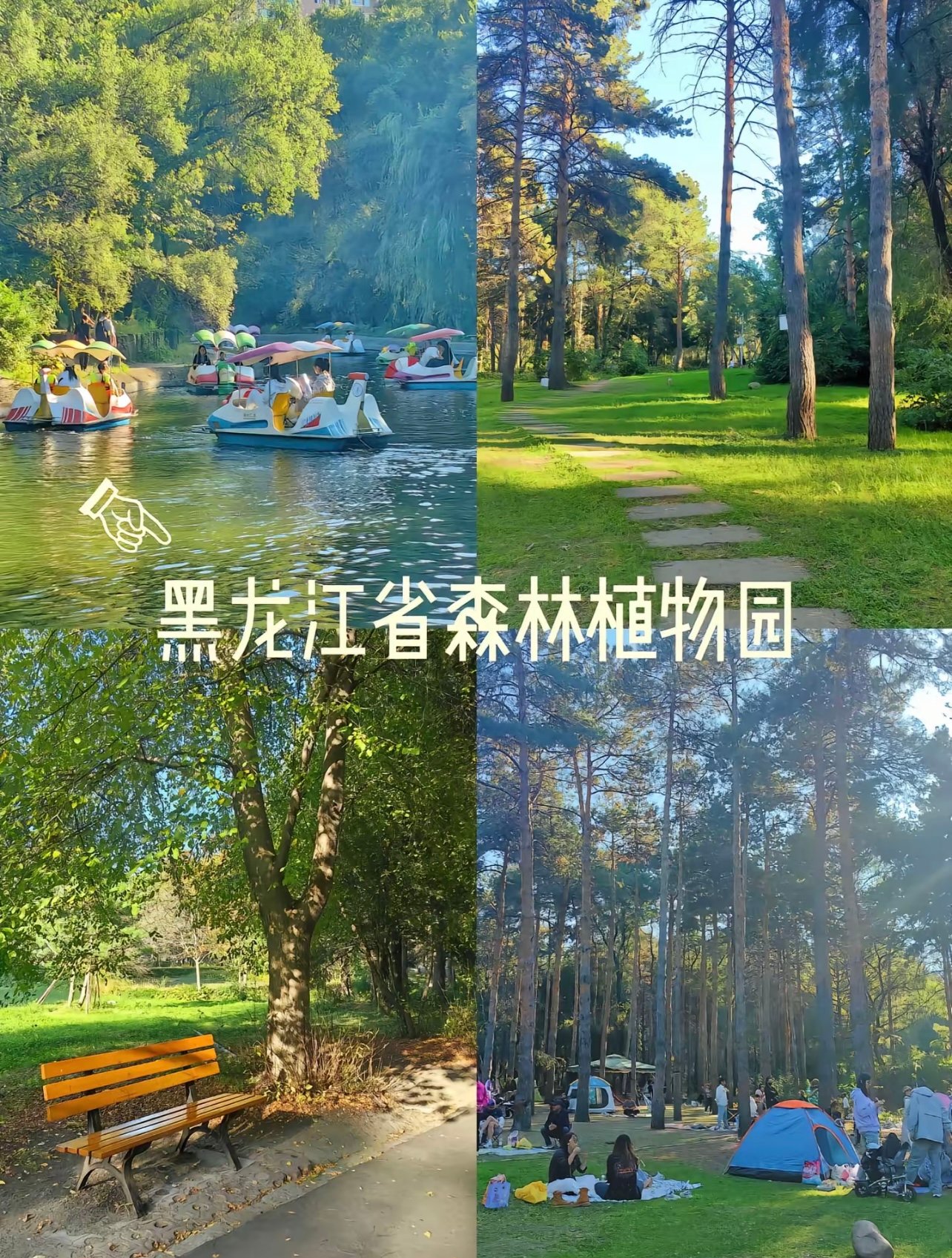东北最大的城市森林！吸氧太治愈了