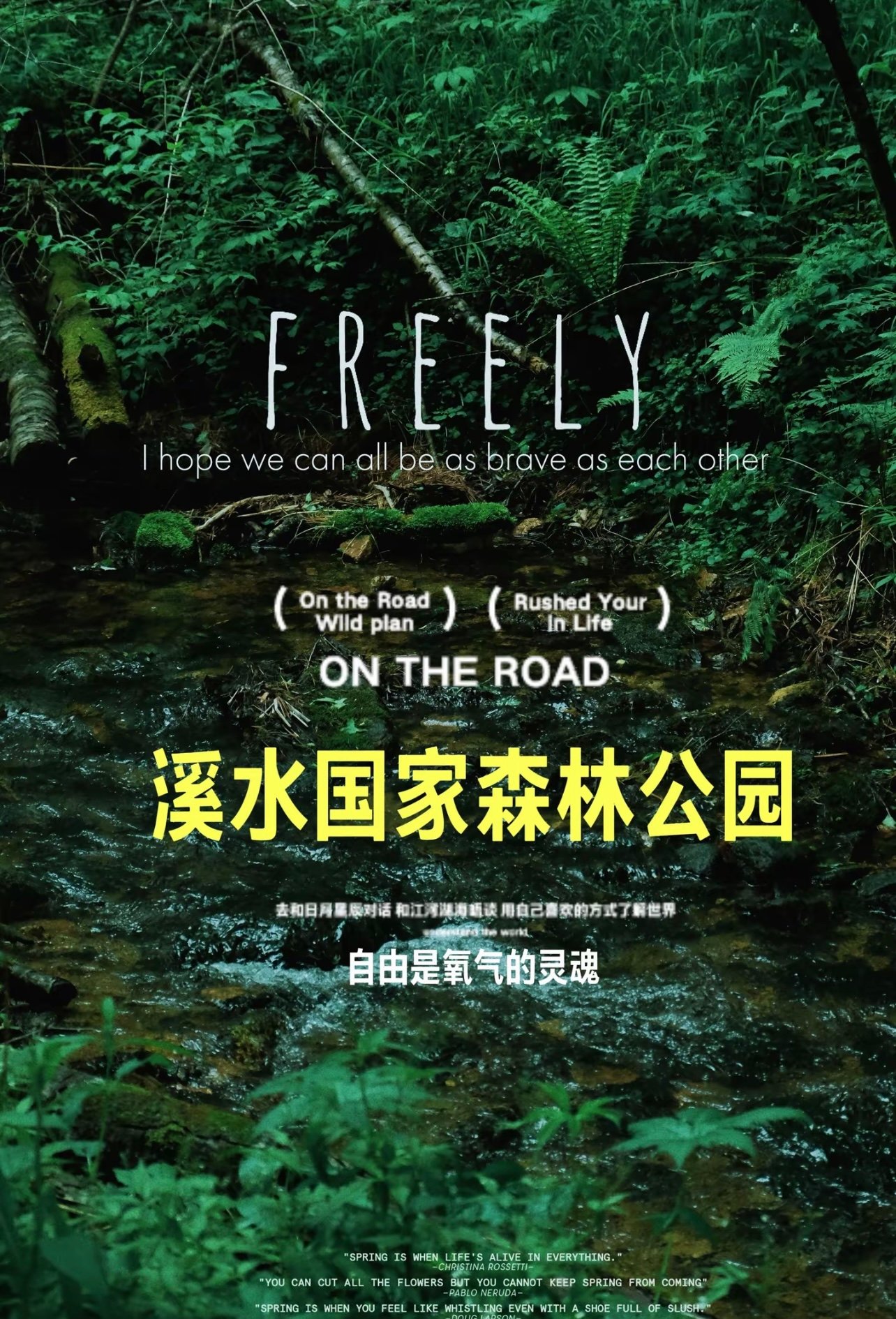 溪水潺潺+红松参天，伊春这个秘境我只想私藏