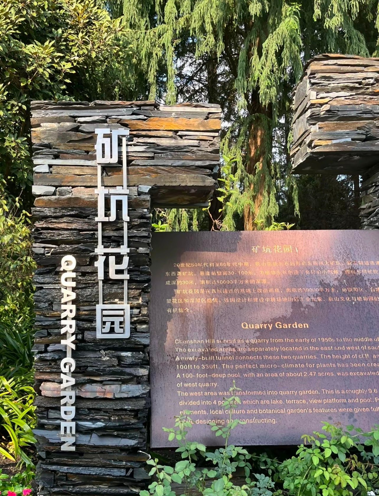 上海植物园太多？这座才是隐藏王者！辰山植物园