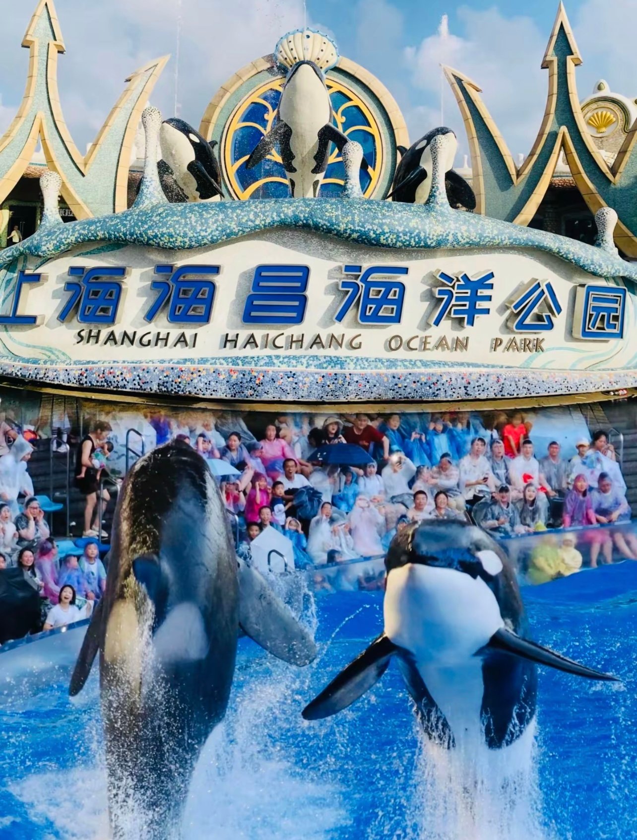 海昌海洋公园--带娃去的血泪经验总结