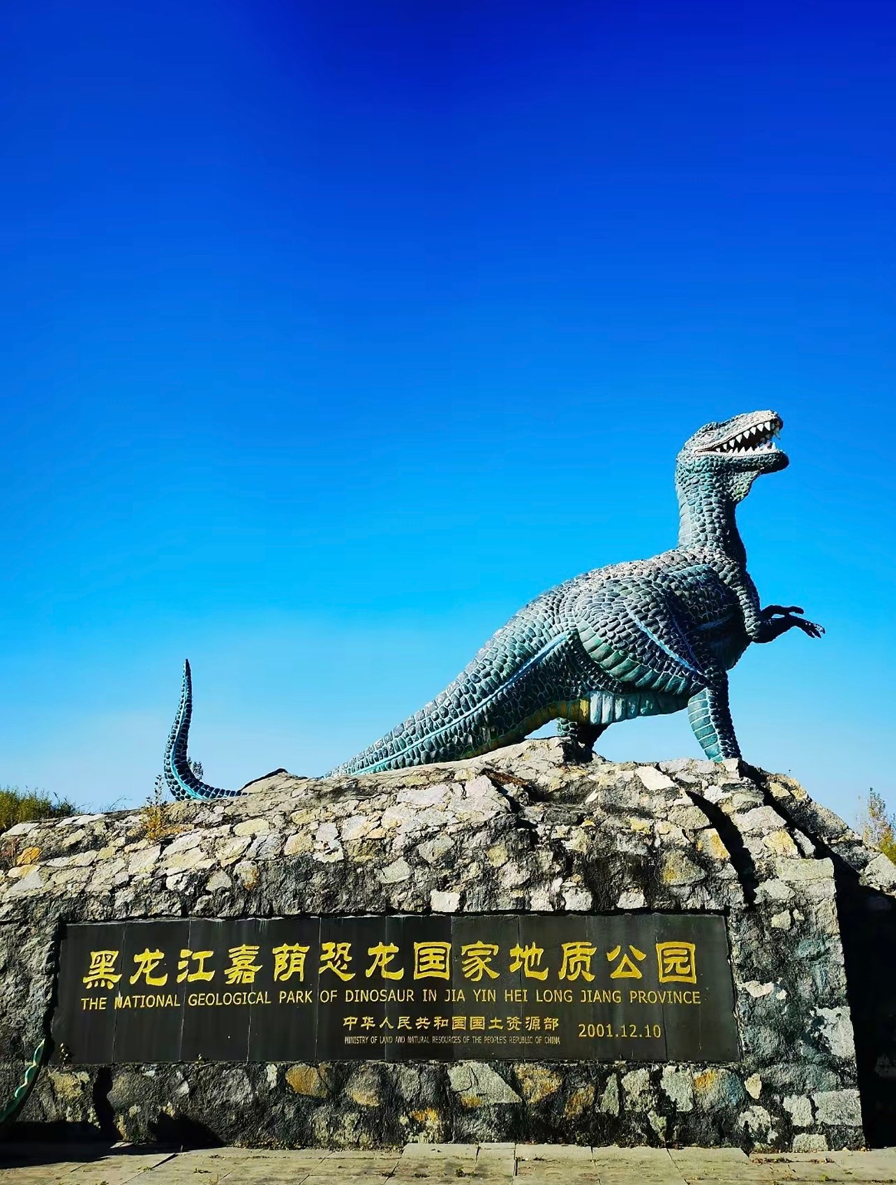 在黑龙江边挖到恐龙化石！中国第一龙的故乡太酷了