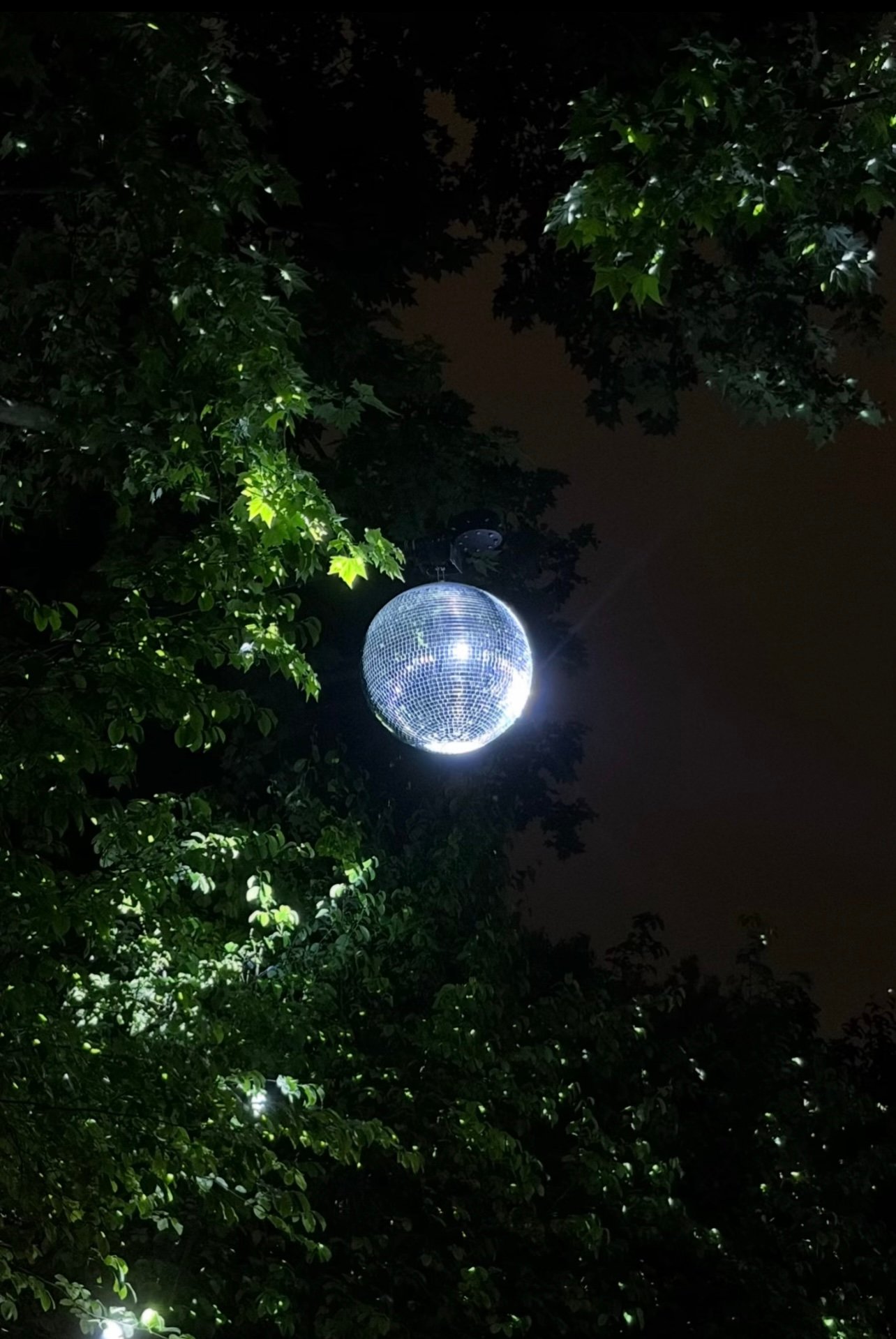 复兴公园有着上海最浪漫的夜景