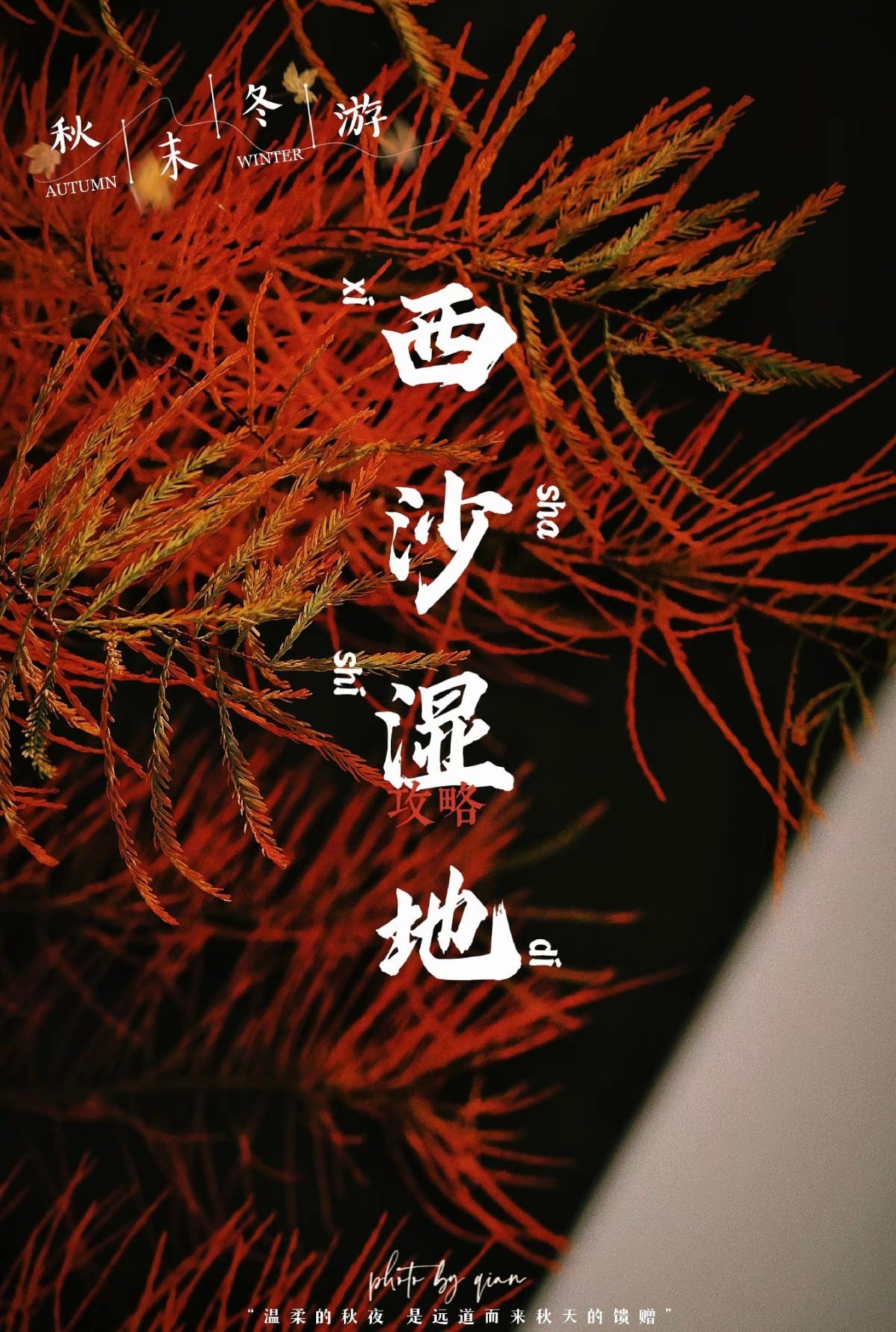 崇明最后的净土中的净土