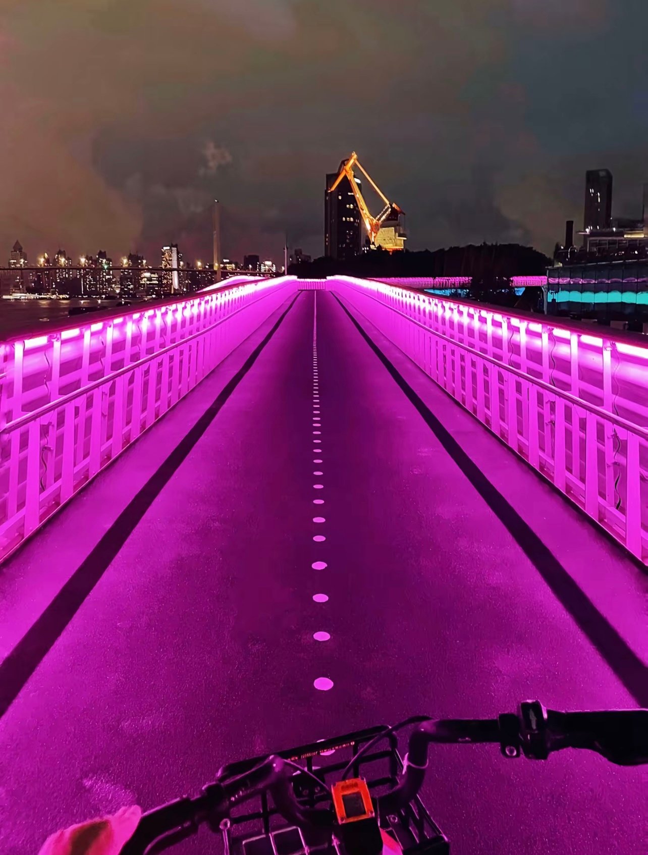 夏夜滨江骑行，把上海骑成了另一个城市