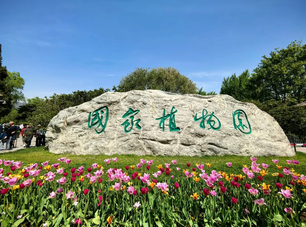 国家植物园：桃花专类园美翻了