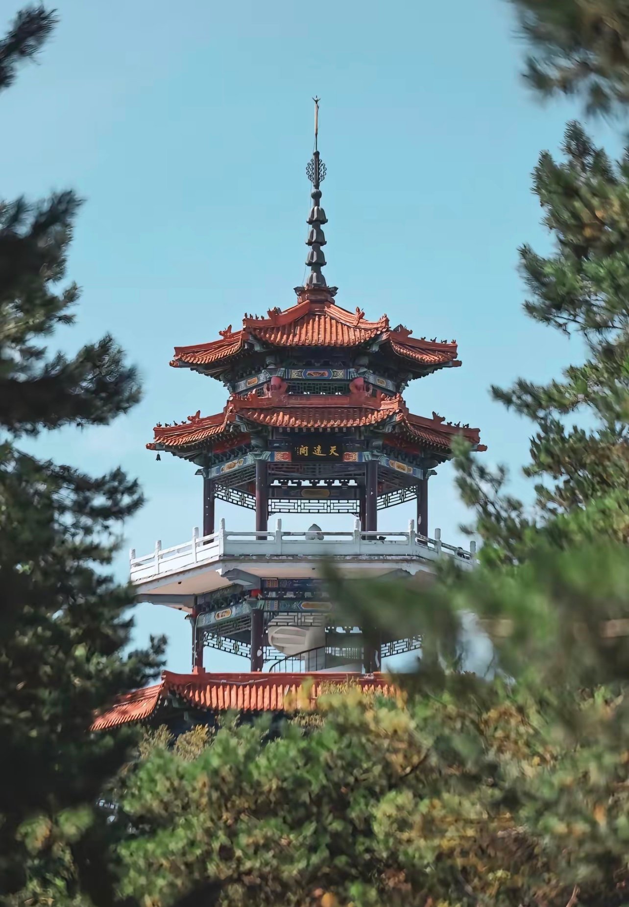 齐齐哈尔人的快乐老家！逛了一下午我羡慕哭了