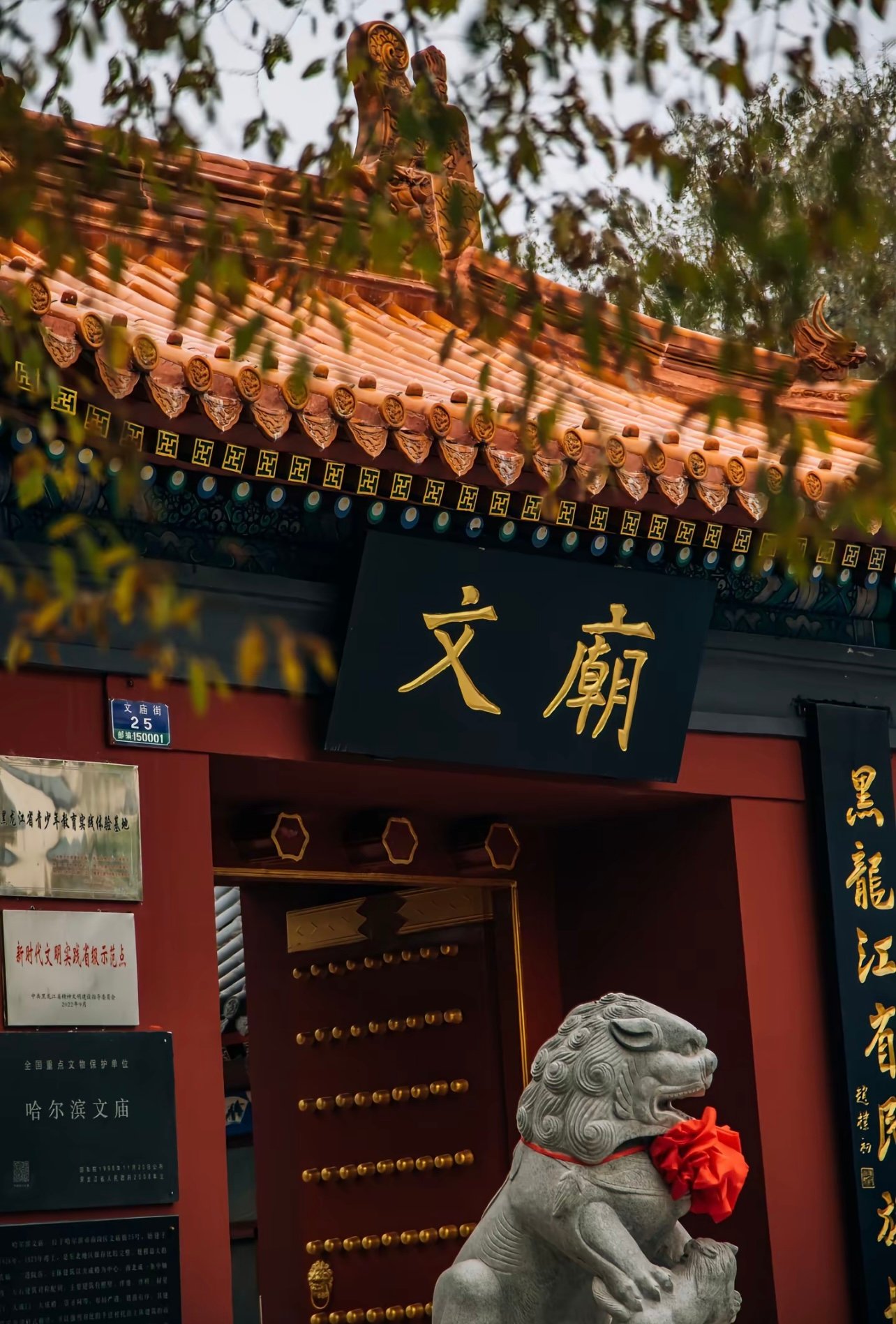 东北最大的文庙居然在哈尔滨！红墙太出片🏮
