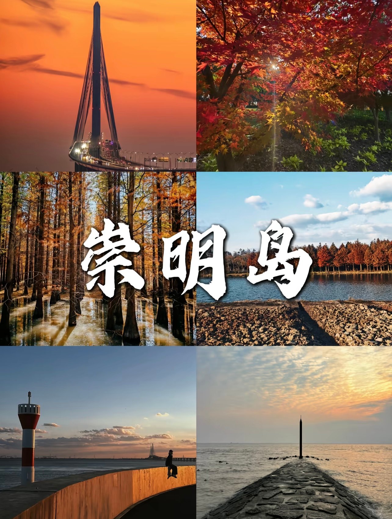 崇明岛到底怎么玩｜本地人带你解锁这片上海后花园