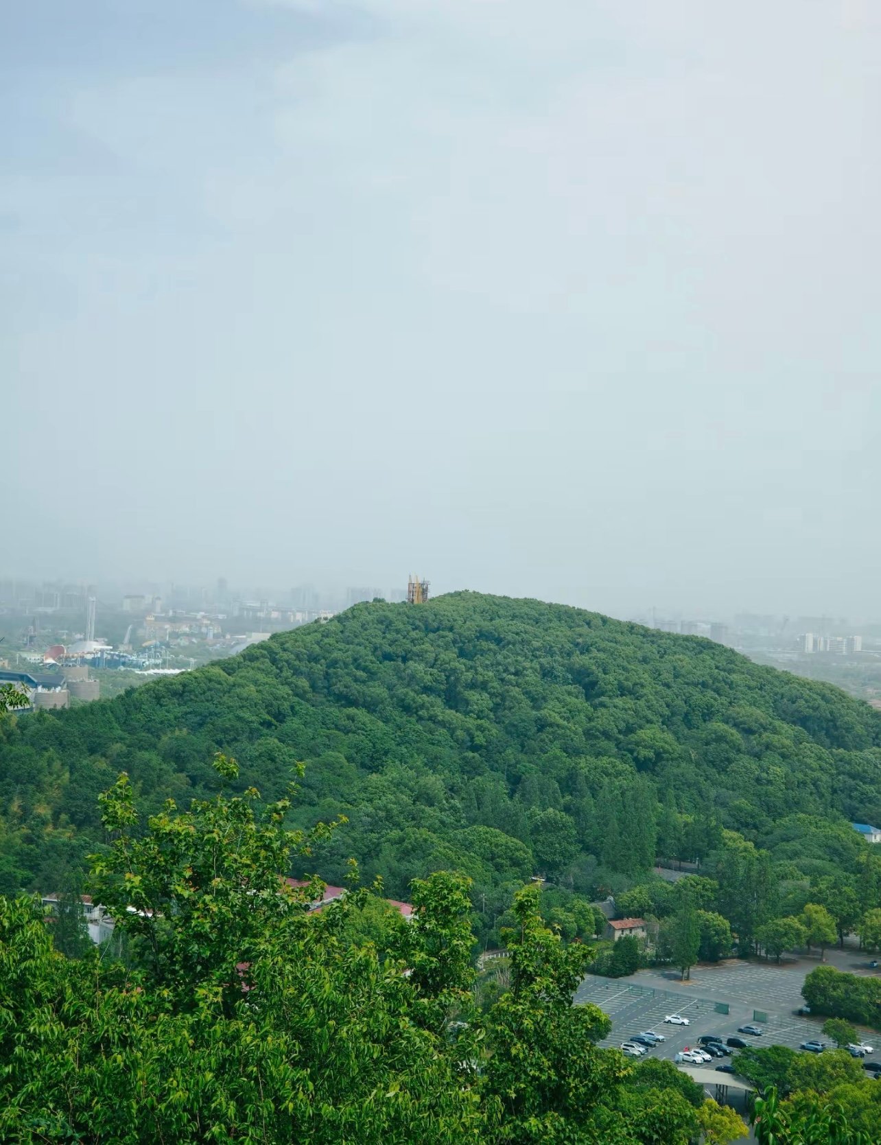 爬过上海12座山，这个最低海拔的反而最让我上头