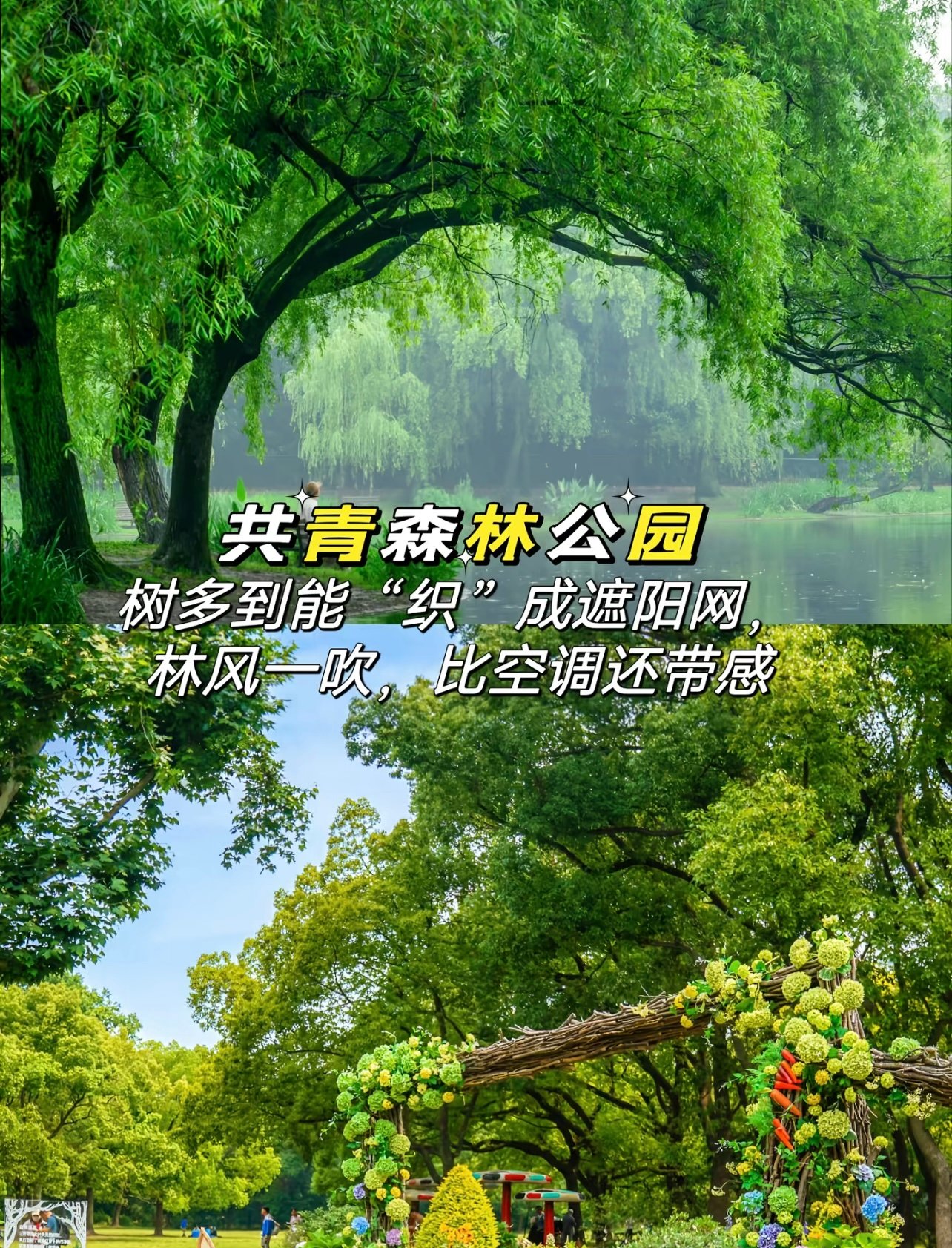 上海40度去哪｜室内凉快地清单·这条收藏了