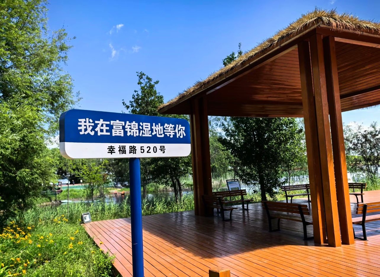 我在富锦湿地拍了100张照片