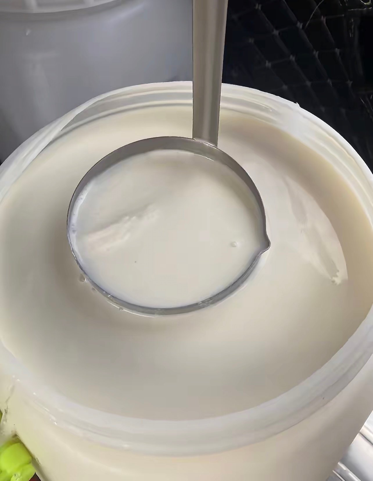 中国奶牛之乡的牛奶，到底有多好喝？