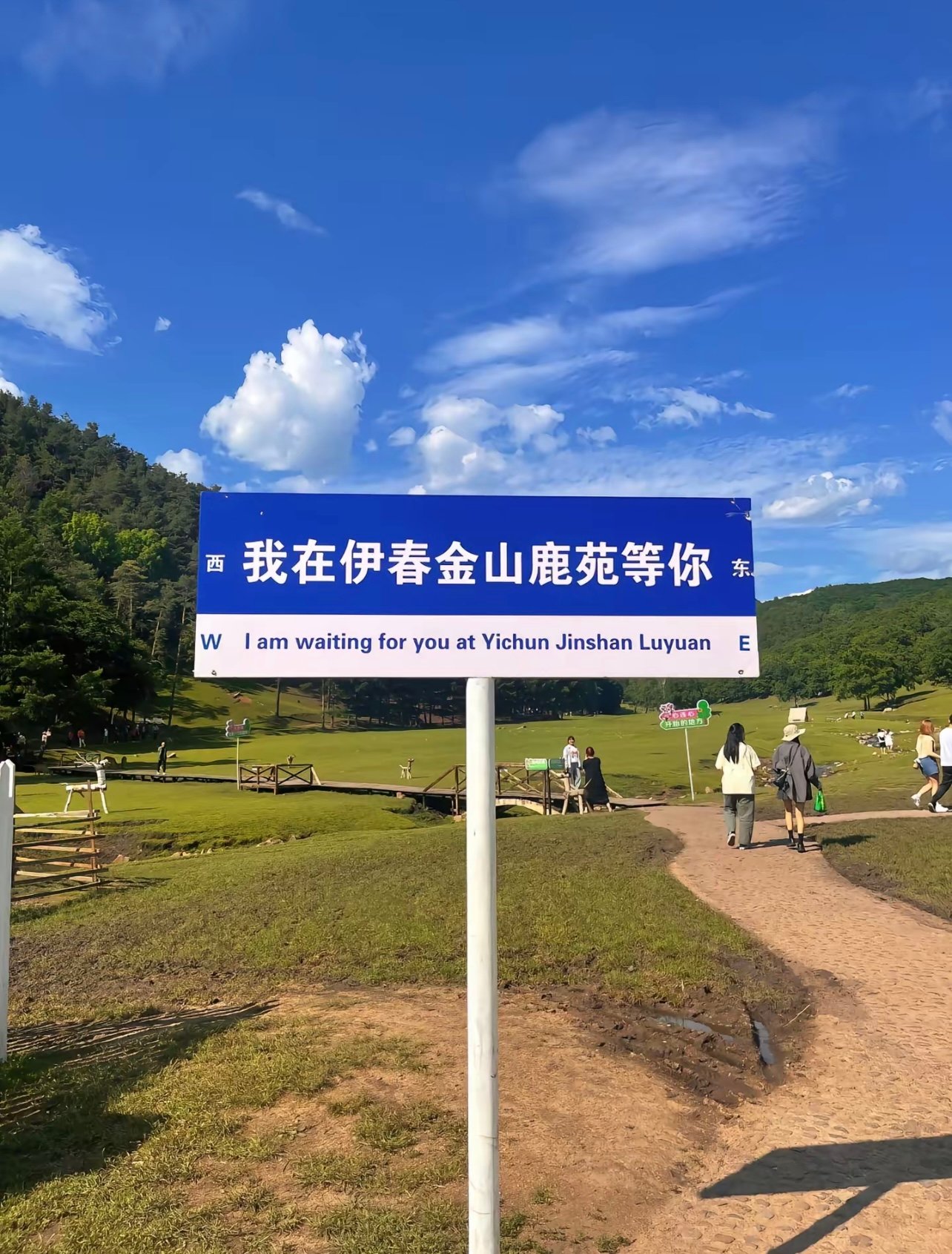 不用去奈良！东北这个小鹿公园把我萌化了