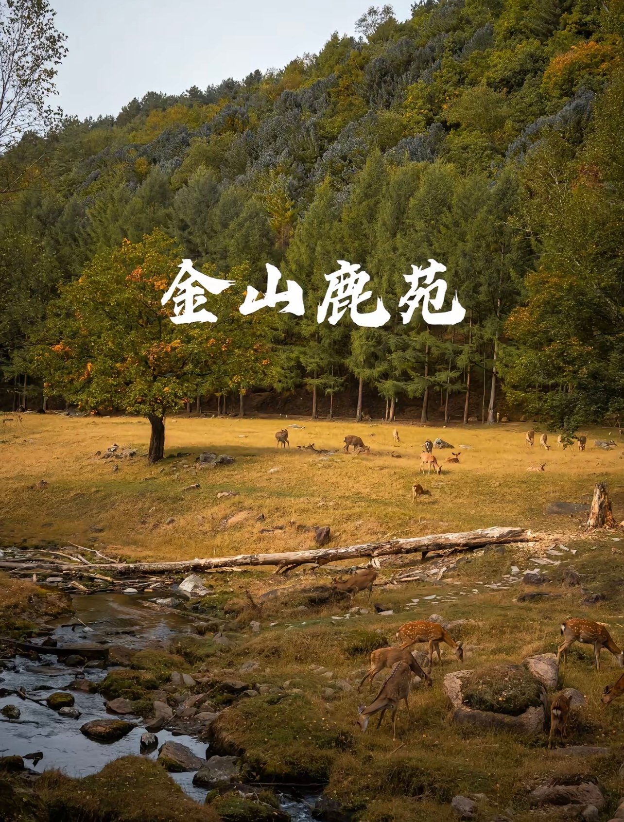夏天只有22℃的黑龙江，才是真正的避暑天花板