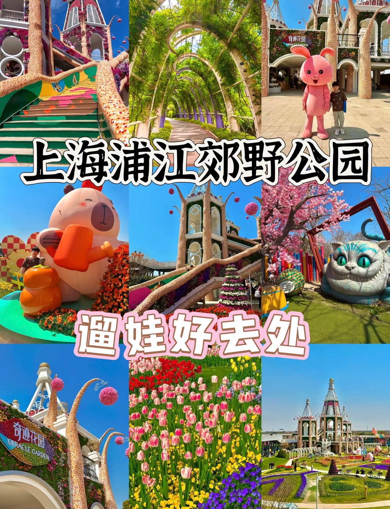市区最近的童话森林