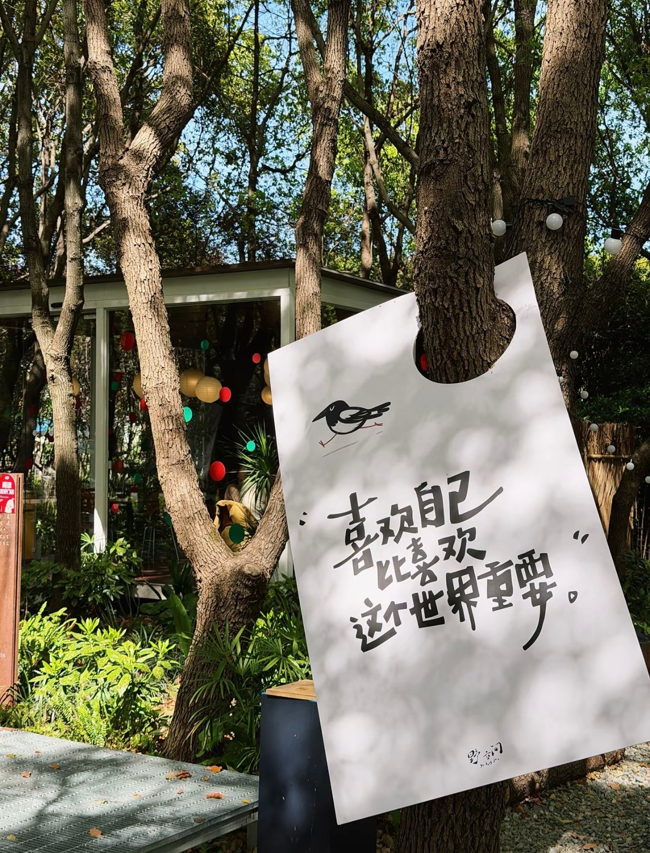藏在市区里的绿野仙踪·溪流边喝咖啡发呆