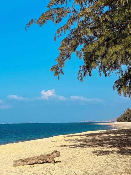 🚤叶榕海滩｜野趣沙滩，摩托艇出海体验🌊