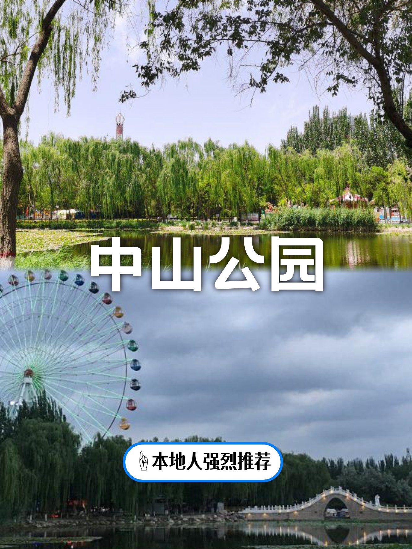 🌸中山公园｜几代银川人的回忆🌷