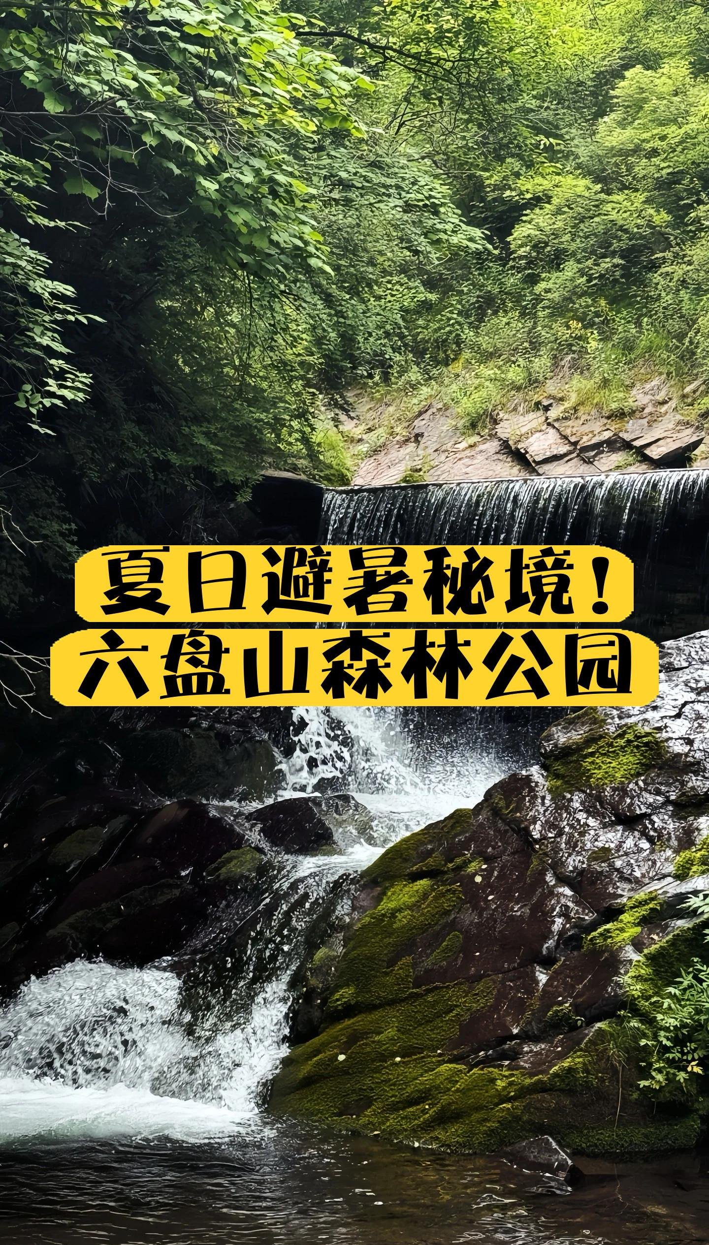 🌲六盘山国家森林公园｜高原绿岛·18℃夏天吸氧胜地🍃