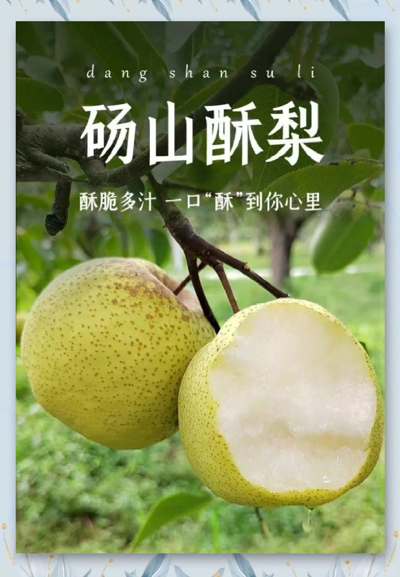 🍐砀山酥梨｜世界梨都清甜代表💧