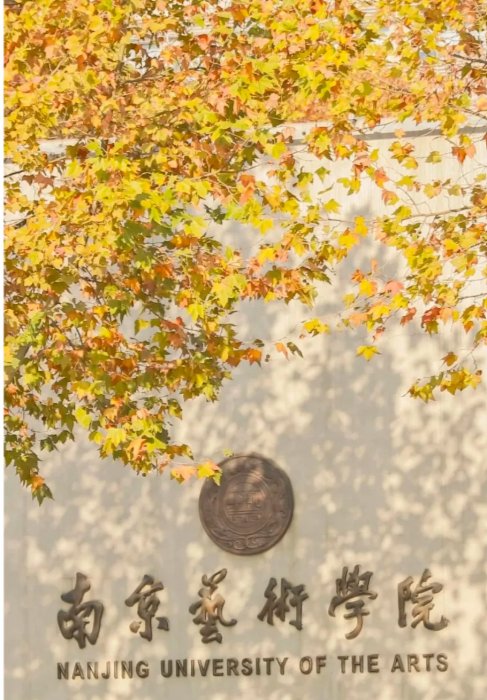 南京艺术学院🎨｜江苏艺术一姐，艺术家摇篮