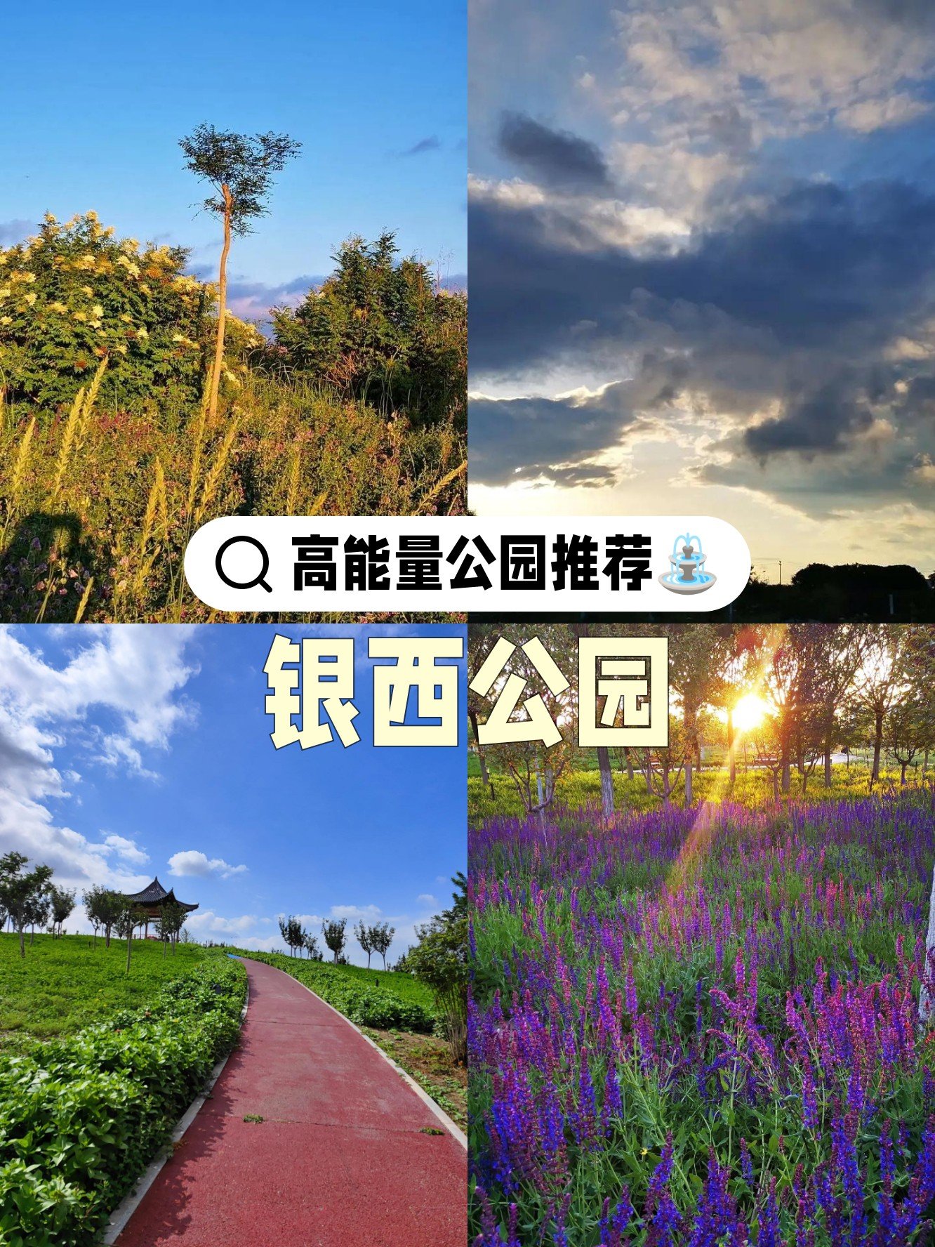 🌿银西生态公园｜城市绿色长廊🌳