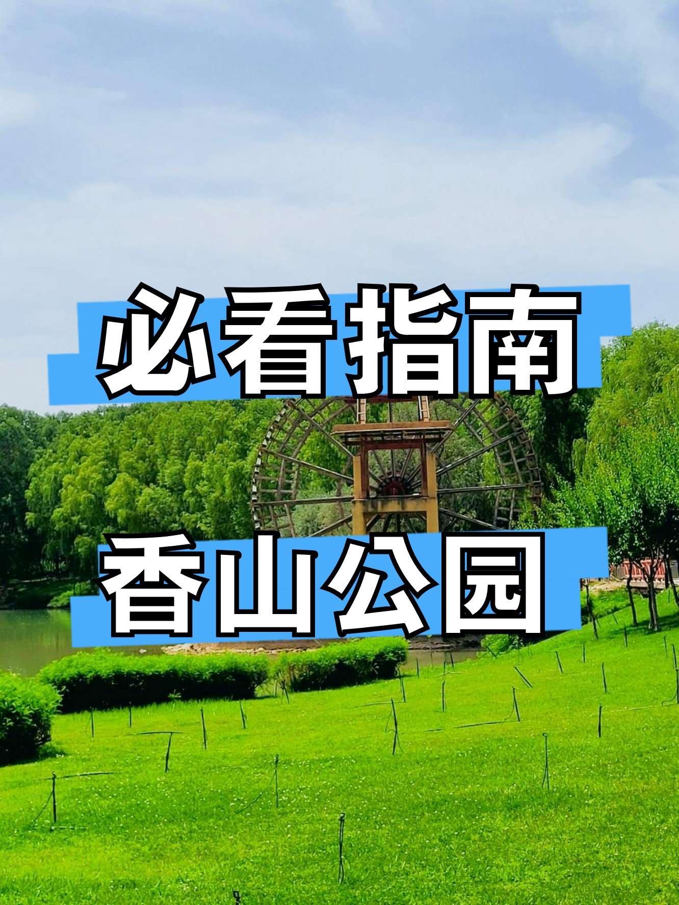 🌿香山公园｜市区免费治愈氧吧