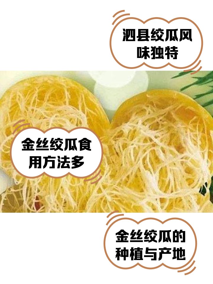🥒泗县金丝绞瓜｜天然鱼翅凉菜✨