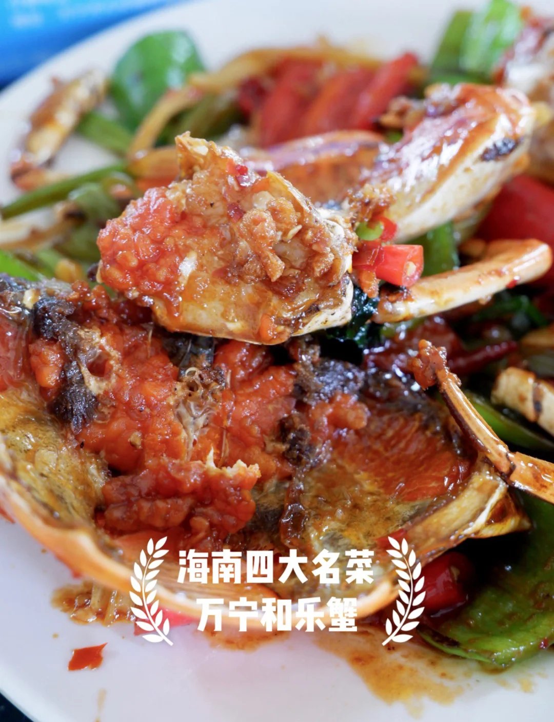 🦀万宁顶流‼️和乐蟹鲜到舔盘✨