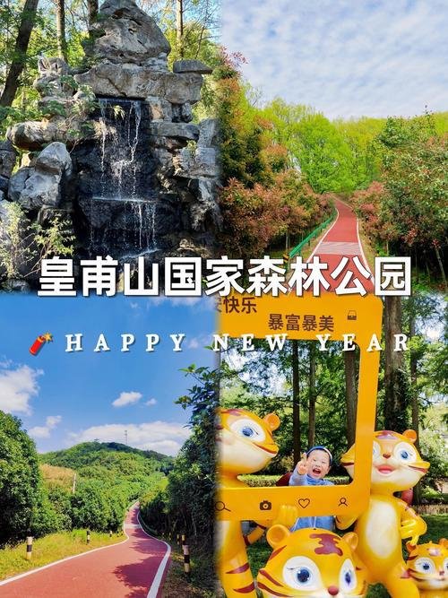 皇甫山国家森林公园｜华东西双版纳🌳