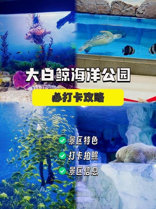 大白鲸海洋公园🐬沉浸式海底世界，亲子看海豚表演