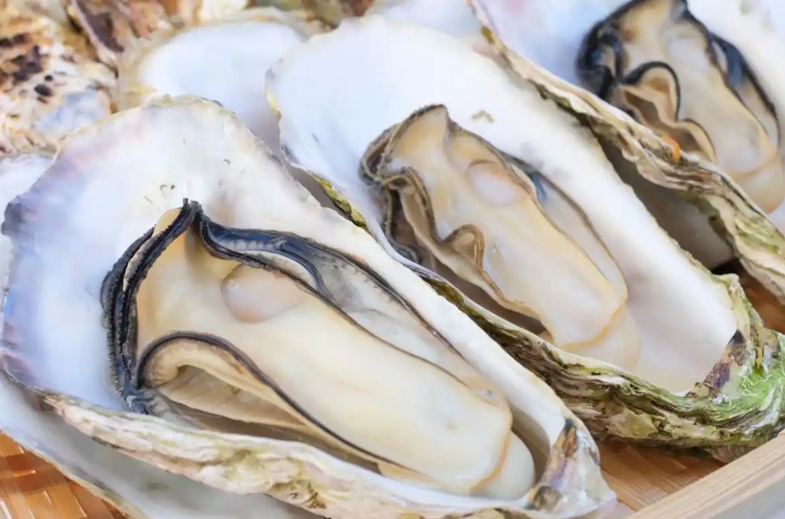 🍢海南烤生蚝｜肥美多汁，蒜香浓郁超入味