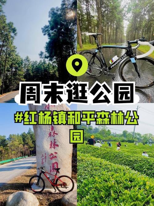 湾沚和平森林公园🌳近郊免费徒步山林，亲子轻松爬山