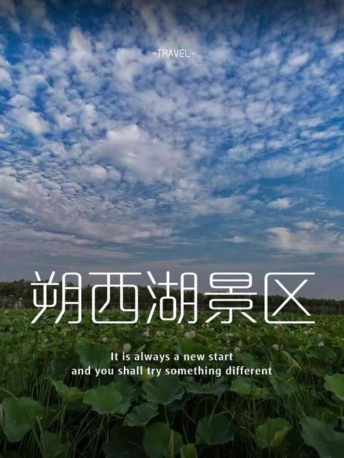 朔西湖景区💧新晋采煤塌陷湖景，花海环湖小众休闲地