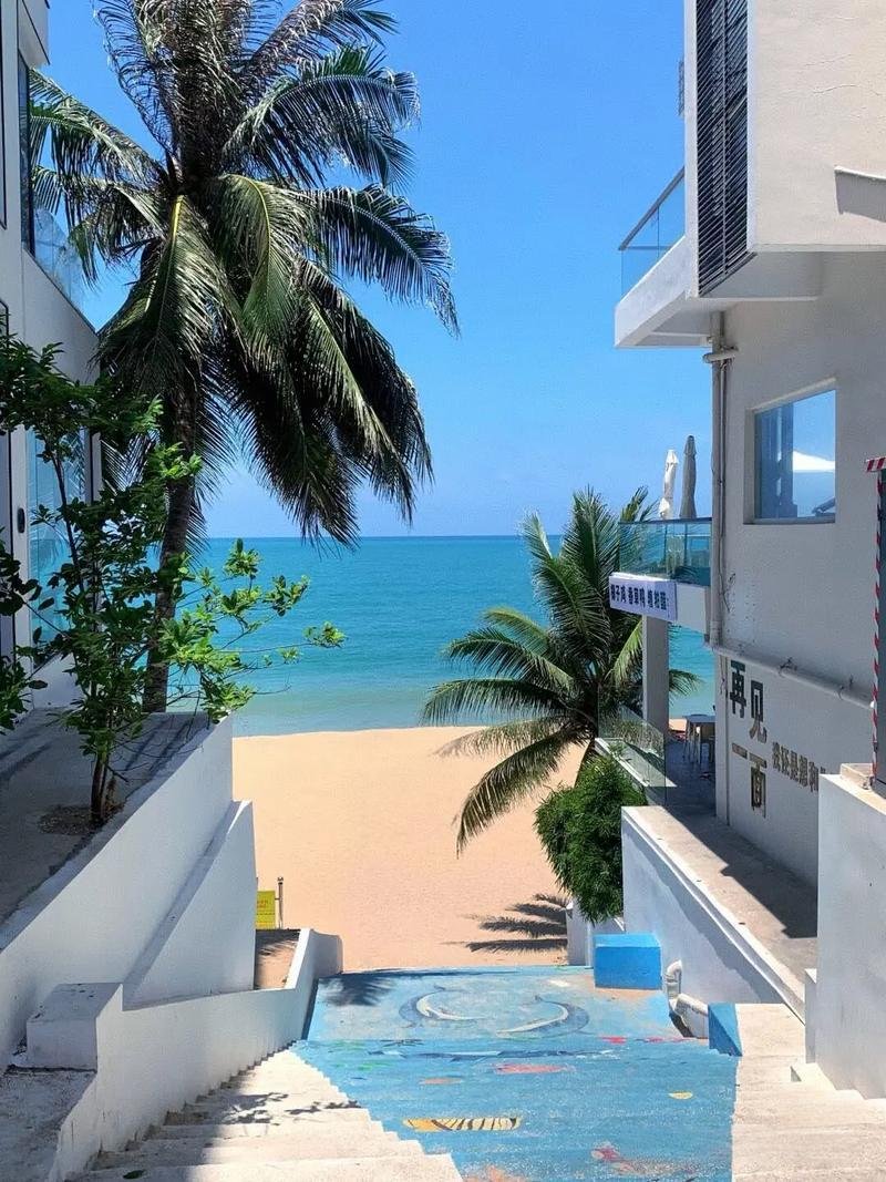 皇后湾🤿玻璃海浮潜秘境｜本地人私藏