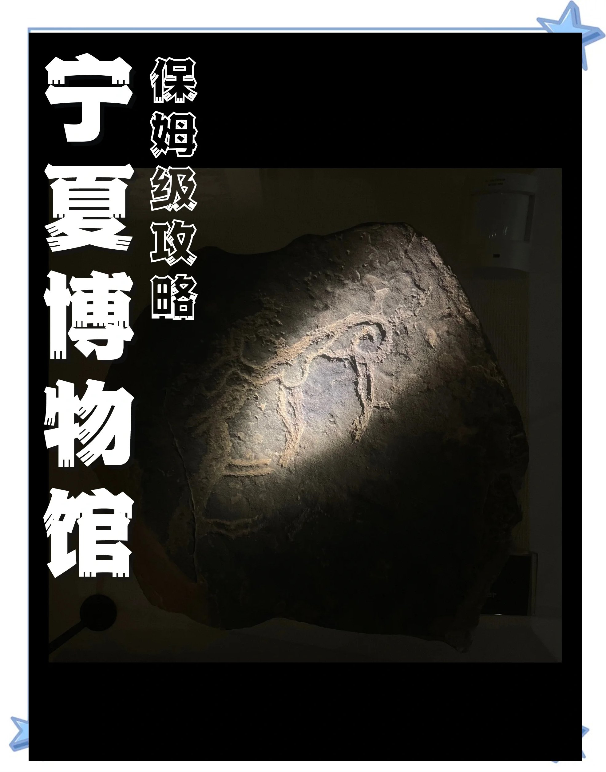 🌿宁夏博物馆｜西夏文化宝藏库🎁