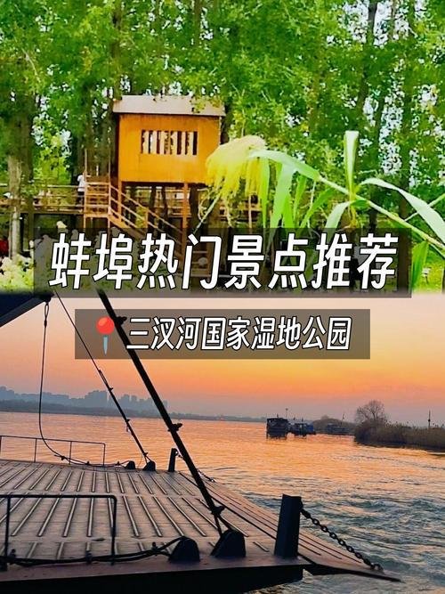 三汊河国家湿地公园🦆原生态芦苇湿地，观鸟吸氧治愈秘境