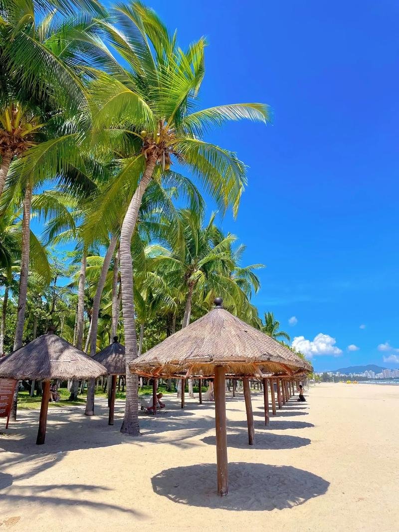 椰梦长廊🌴20 公里橘子海日落｜三亚日落天花板