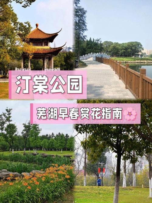 汀棠公园💦老牌江南园林，免费小众人少湖景秘境