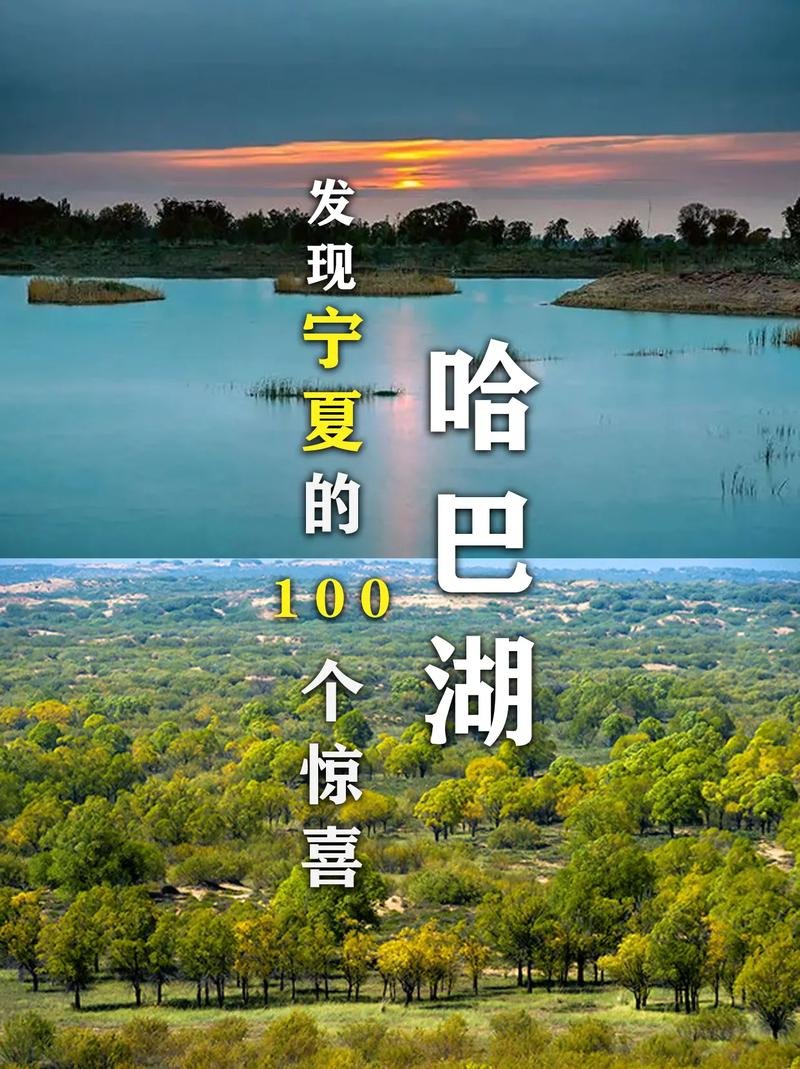 🌳哈巴湖生态旅游区｜沙漠边缘的天然氧吧！露营观星绝了